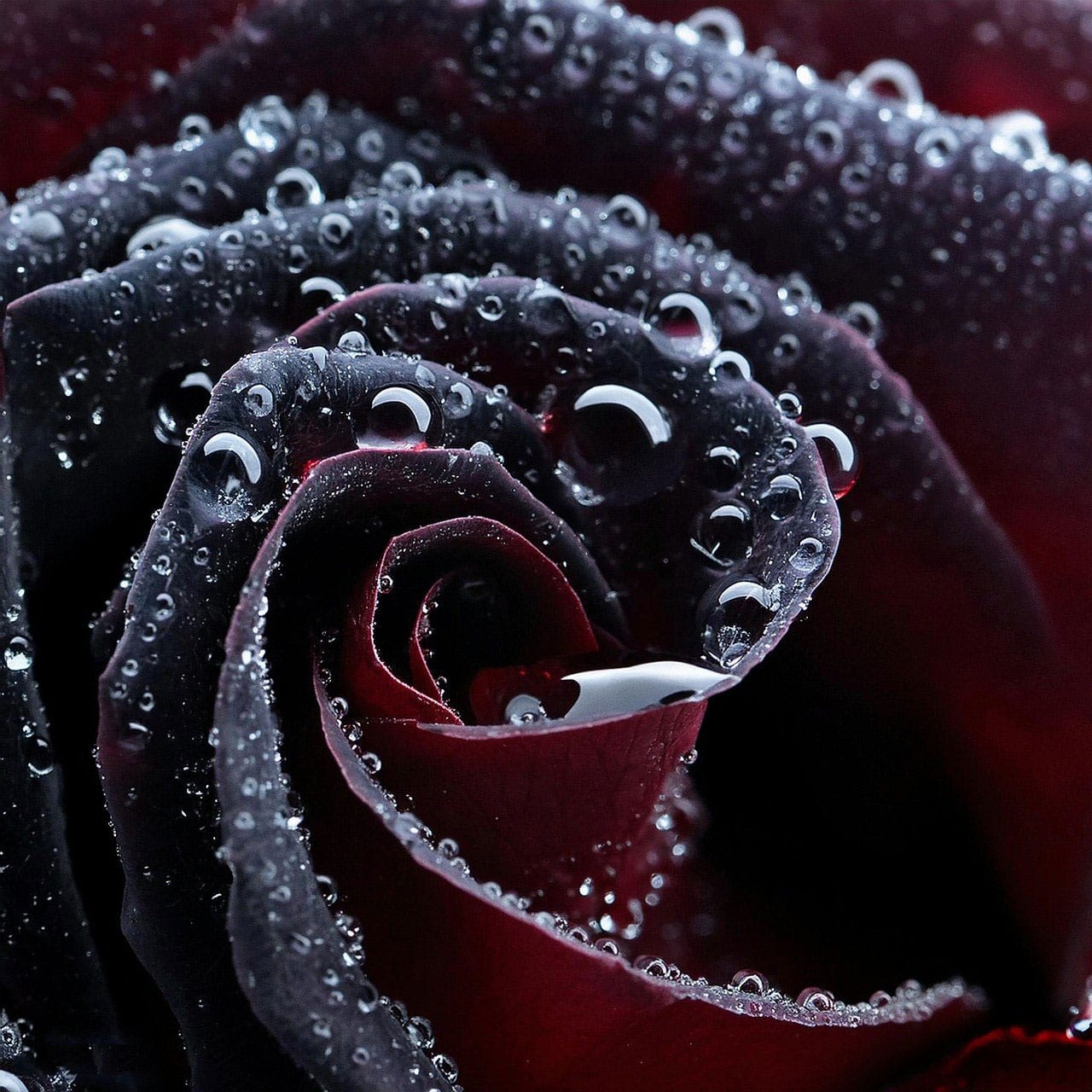 Outdoor Adventures: Hiking Essentials